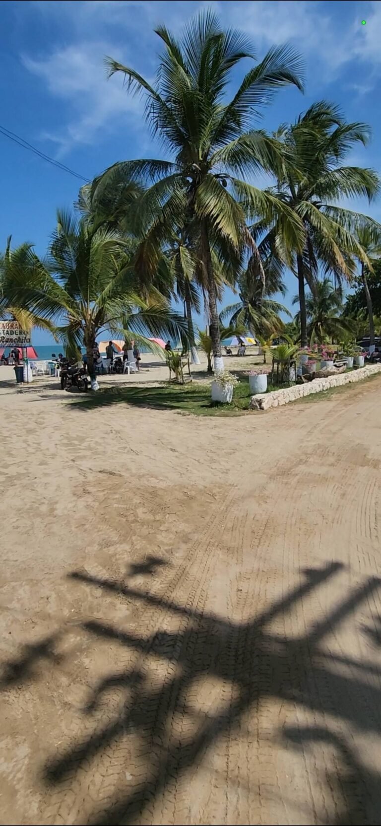 05c007ba-3997-4100-8da8-cf29478cf2fc