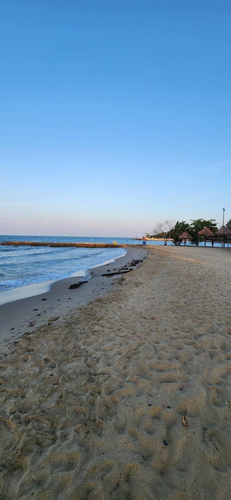 a83c0e01-e4f0-4bee-a695-63d3569cecd7