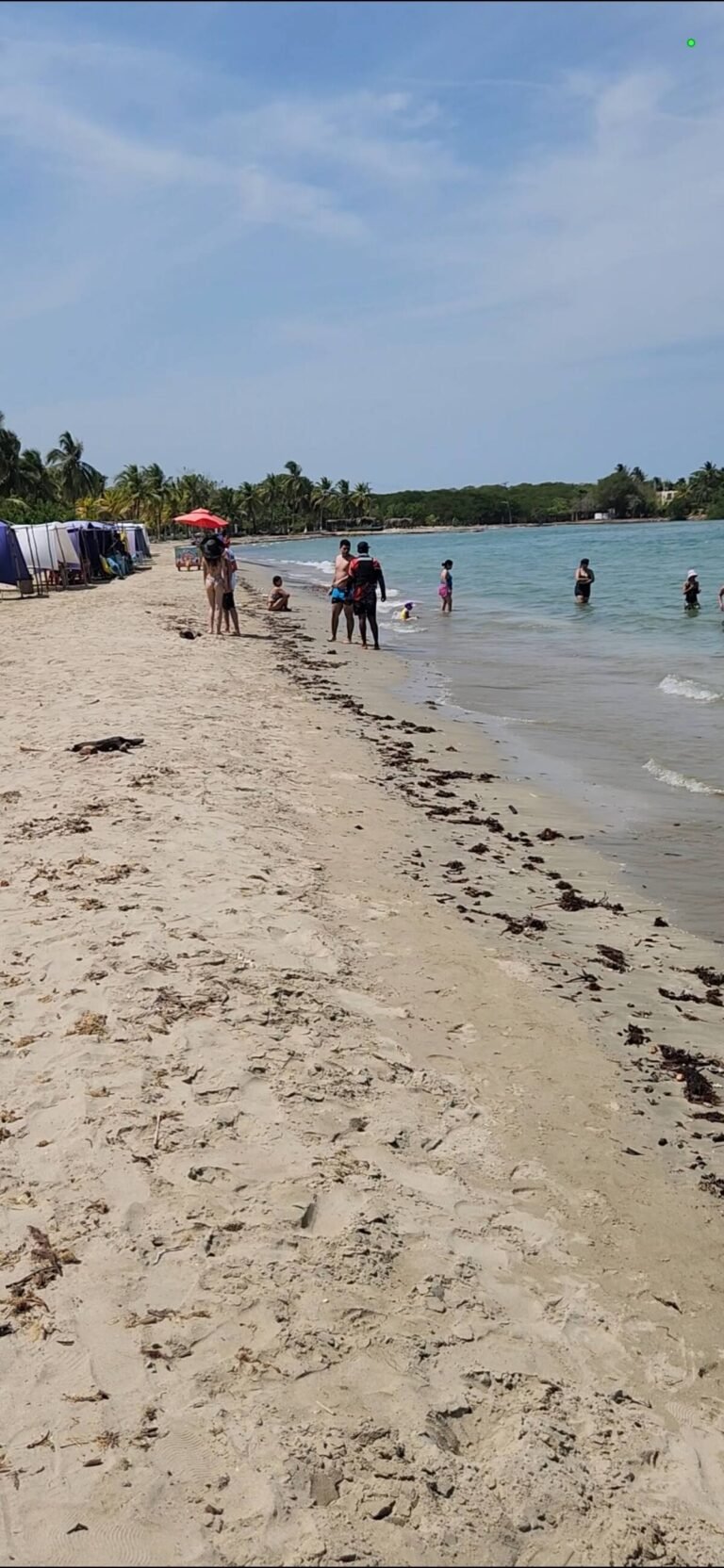 c179f9a8-af4f-4d20-b81a-8472147f4038