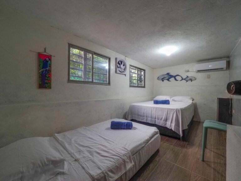 c4bc77a3-bf2a-45e8-b61b-d718d6a6fb40